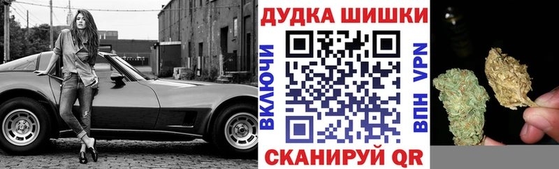 мега как зайти  Юрьевец  Бошки Шишки план 